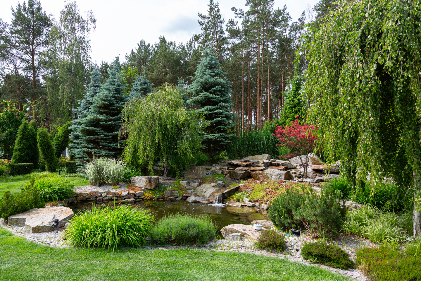 Budowa domu od A do Z z ogrodem