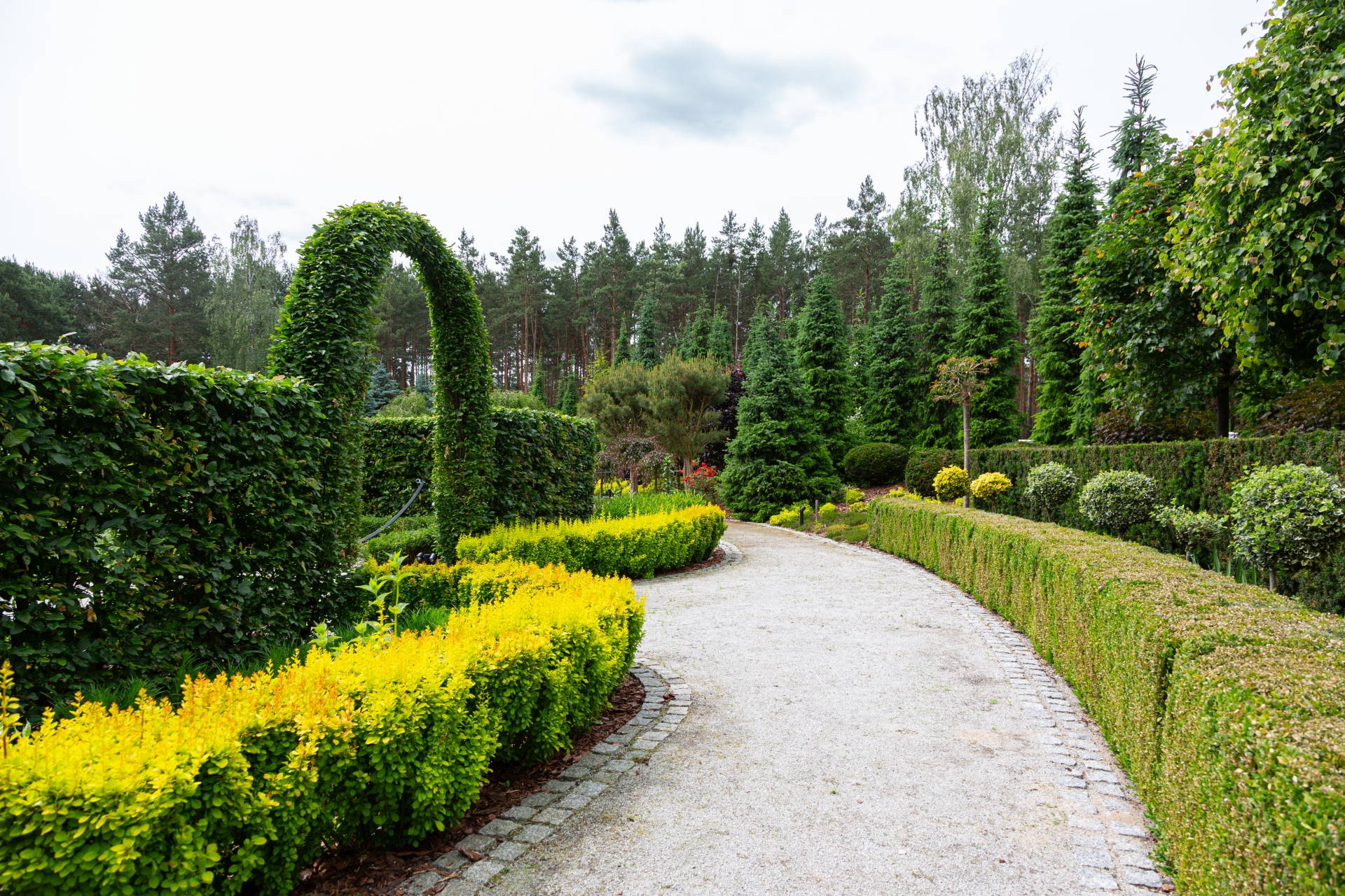 Plan zagospodarowania terenu – New-House