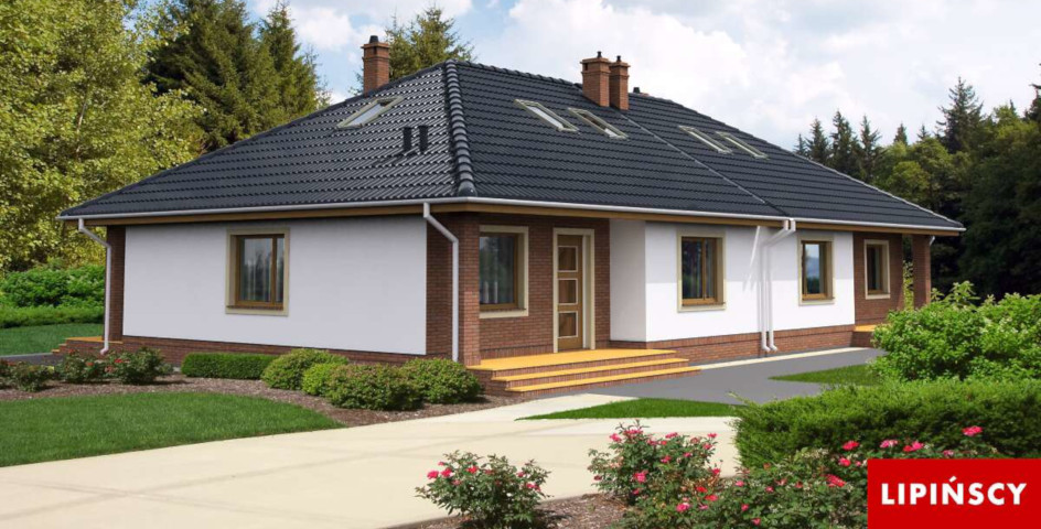 Bliźniak z dachem 20–29°